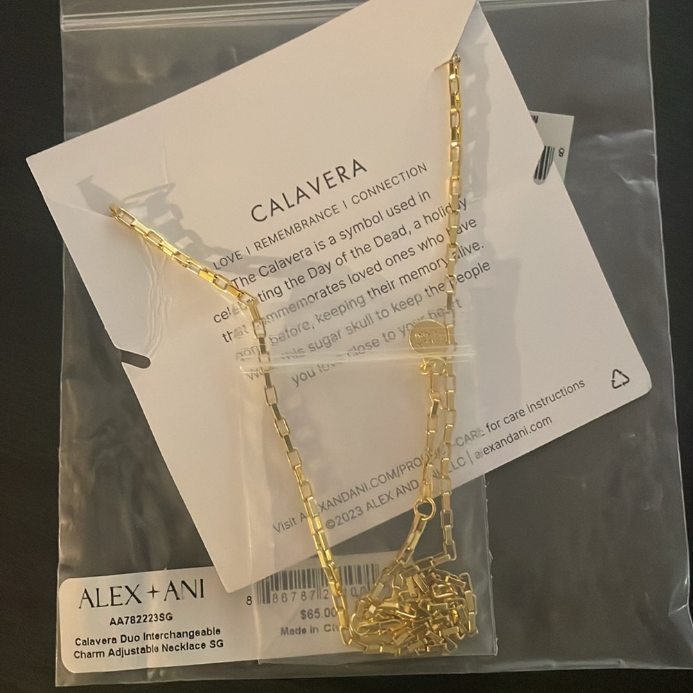 Alex + Ani Calavera Interchangeable Skull Charm Necklace - Picture 3 of 4